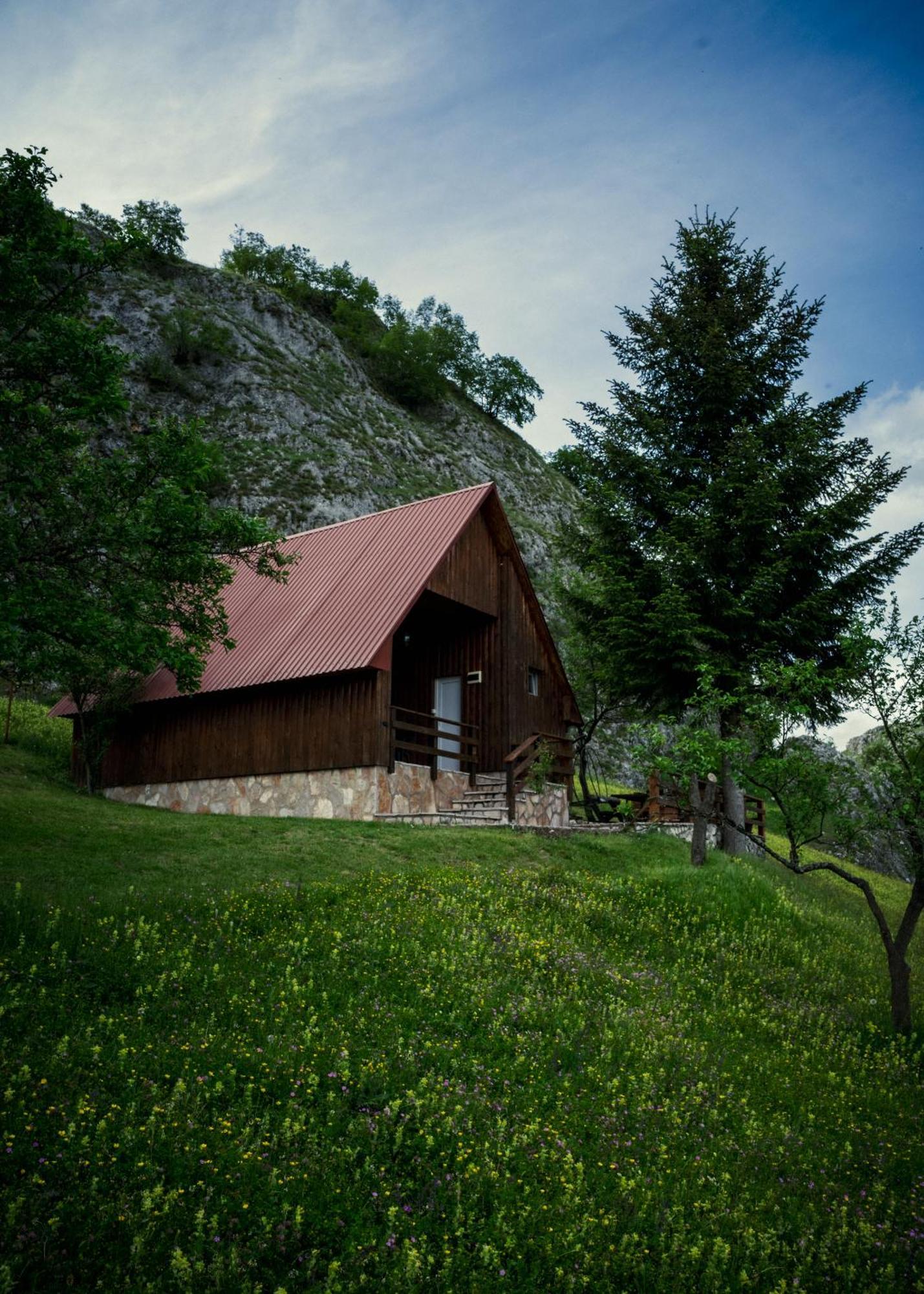 Detached House Milivoje Hotell Poscenje Exteriör bild